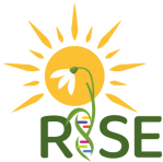 Eftelya Eylül Kocaoğlu